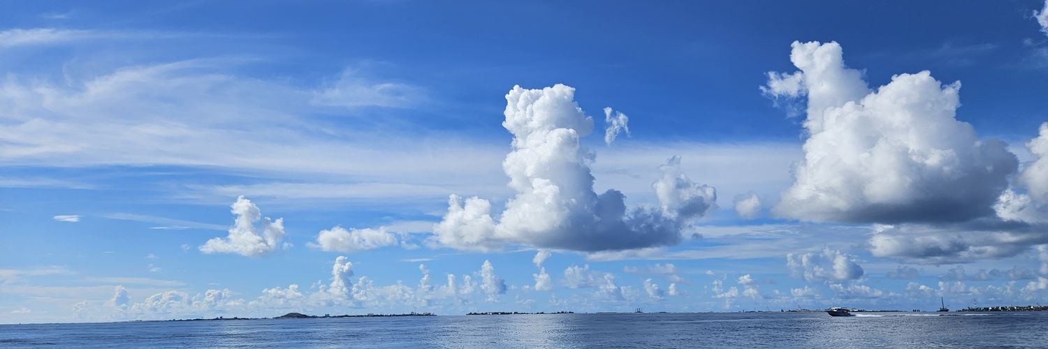 Victoria Samson banner