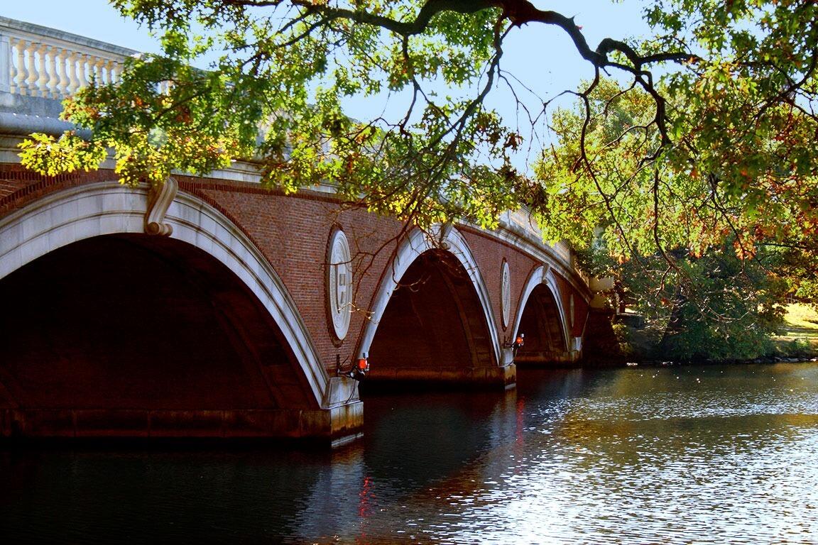 Real Colegio Complutense at Harvard banner