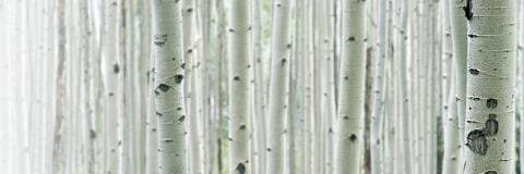 LIPHE_4's profile banner image