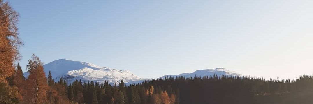 Frauke_Couche's profile banner image