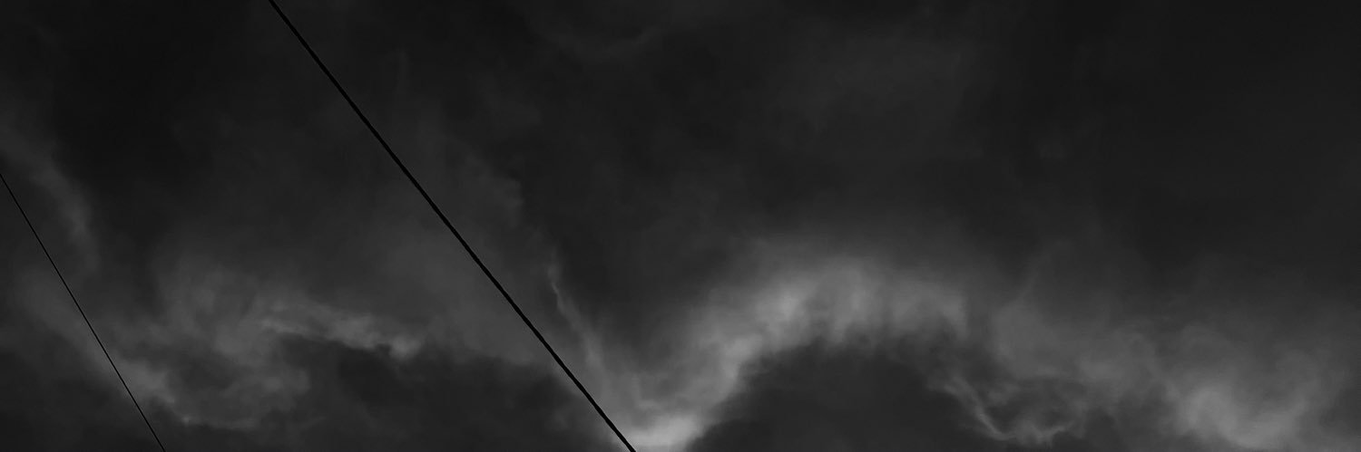 𝐞𝐥𝐬𝐚 🪩 banner