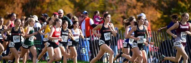 Lauren Doherty banner