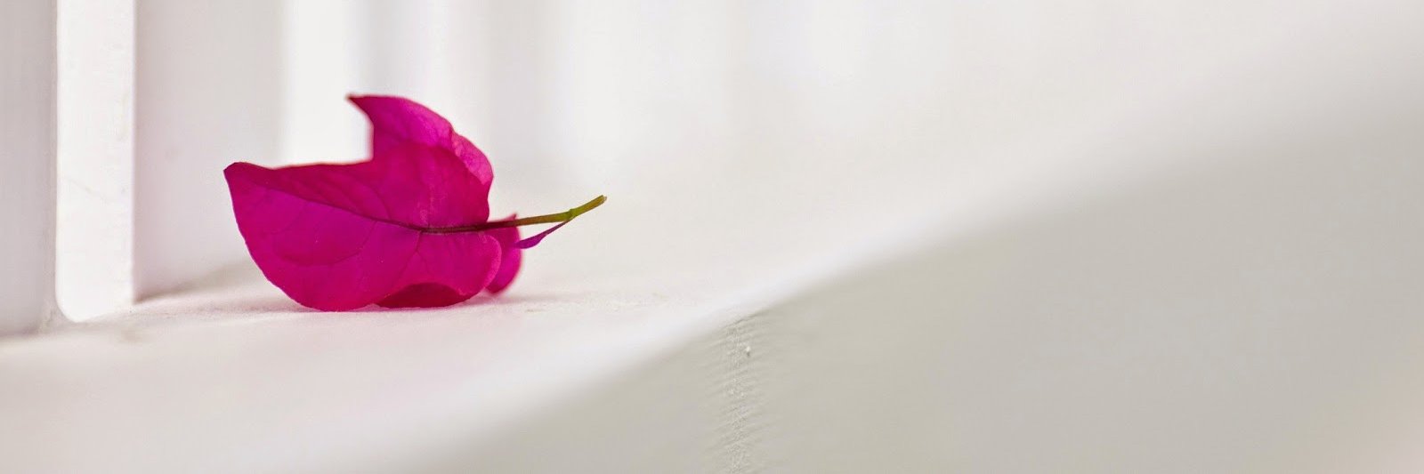 Rizkcaaa's profile banner image