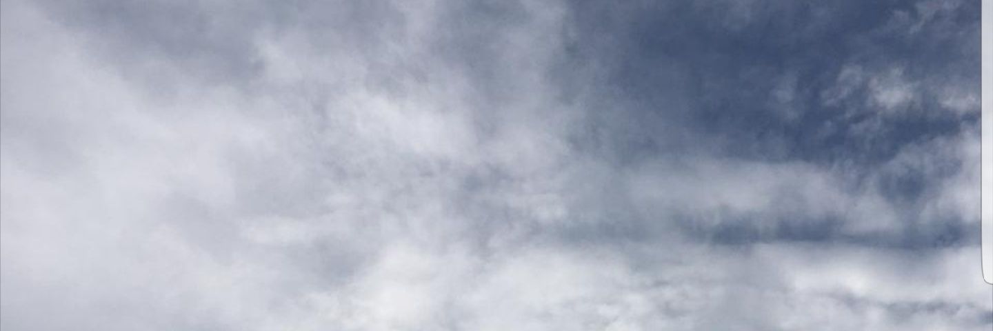 banyhsaggese's profile banner image