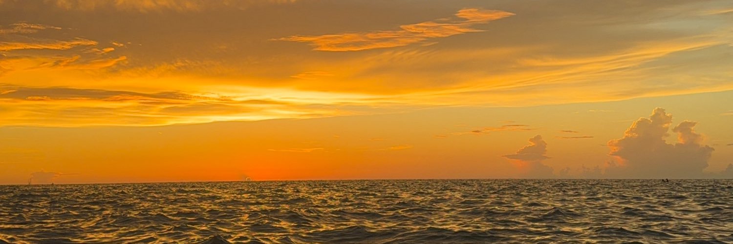 XAnduzeM's profile banner image