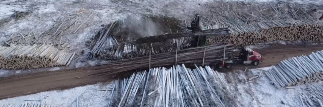 Hay King of Buttertown banner