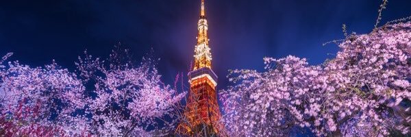 Fucuen's profile banner image