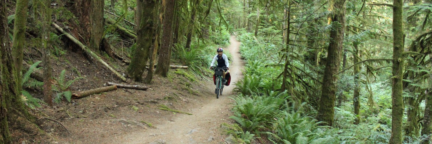 Robert Monarch banner