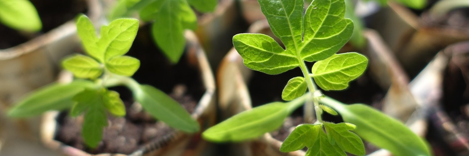 Southside ReLeaf banner