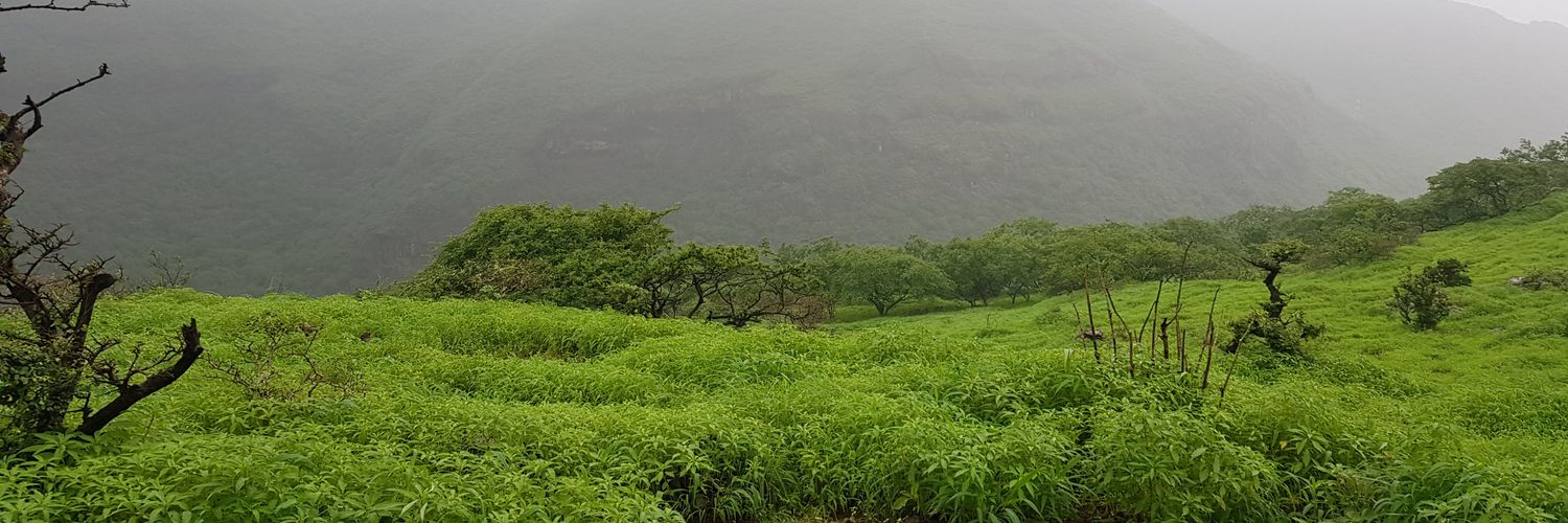 ALBADER_2020_'s profile banner image