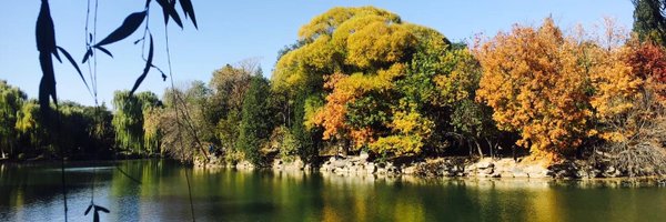 ShangYongxin Profile Banner