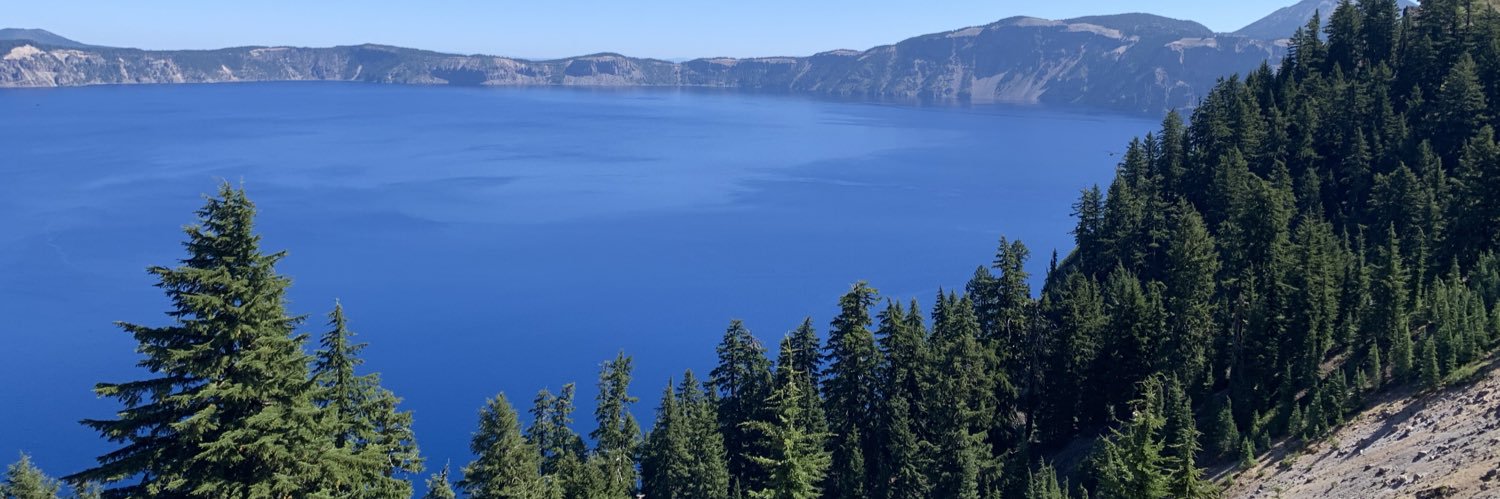 Michael Silverstein banner