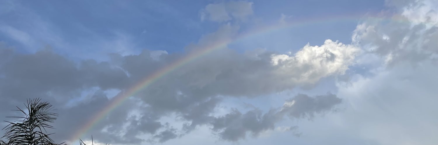 rocioaleja's profile banner image