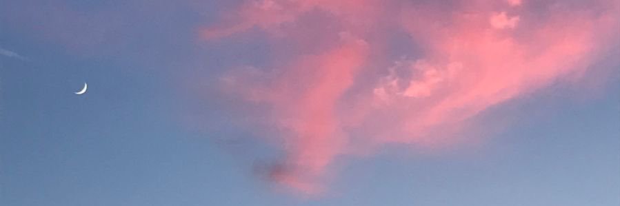 Ley mon amour - Golden Wind ✨ banner