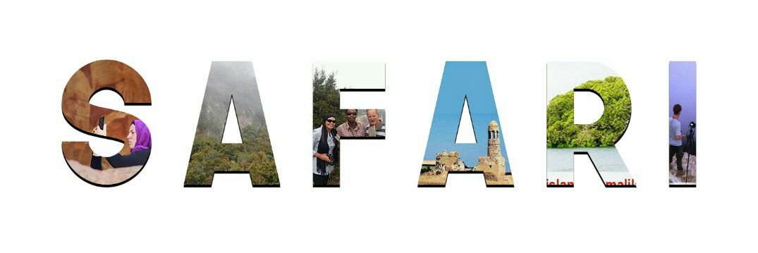 SafariTravelTo1's profile banner image