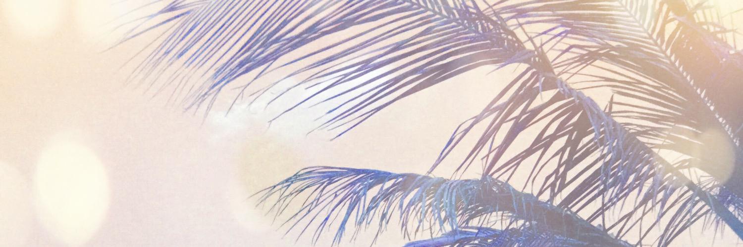 bintzayed_1's profile banner image