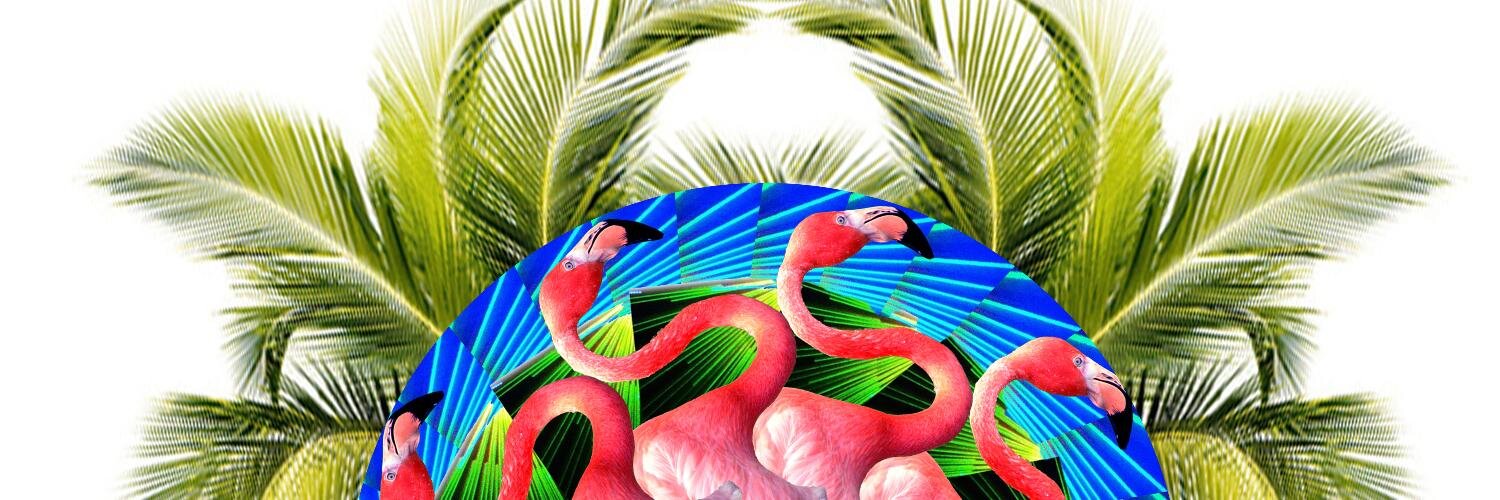bimboflamingo's profile banner image