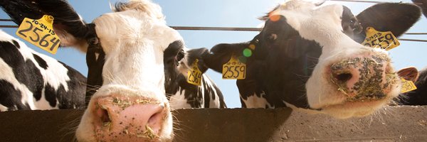 UCDavisCLEAR Profile Banner