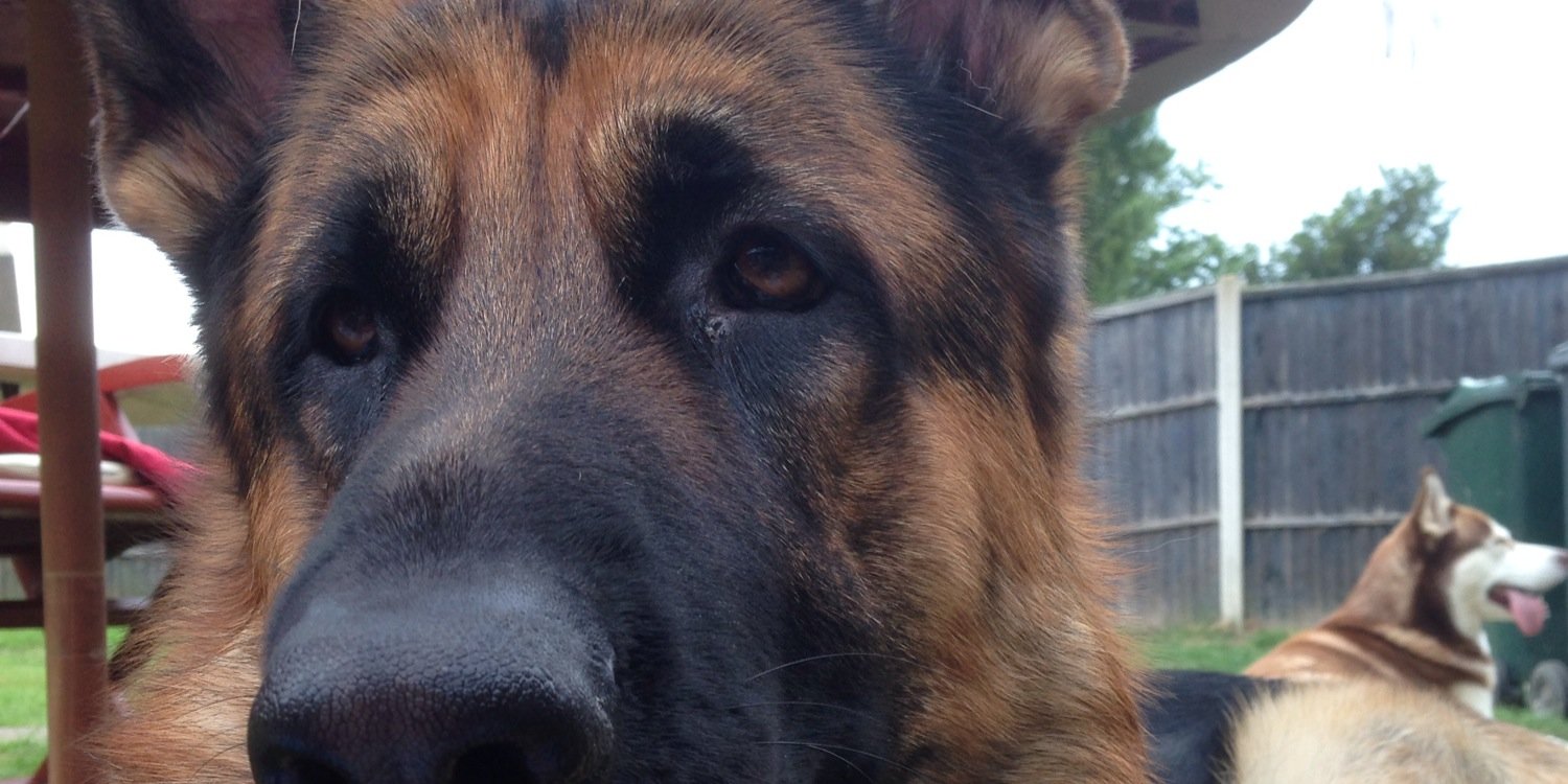 deancuk's profile banner image