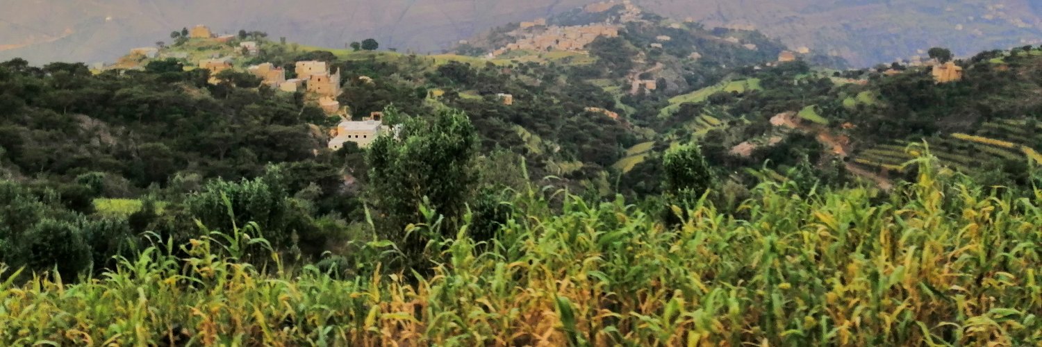 AlrohaAdel's profile banner image