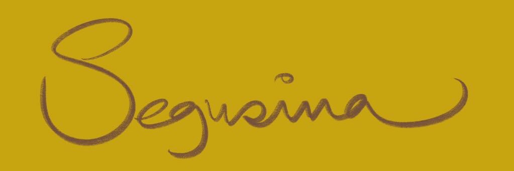 segusina's profile banner image