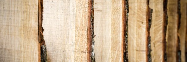 StudioBark Profile Banner
