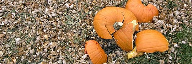 Boycott Big Pumpkin banner