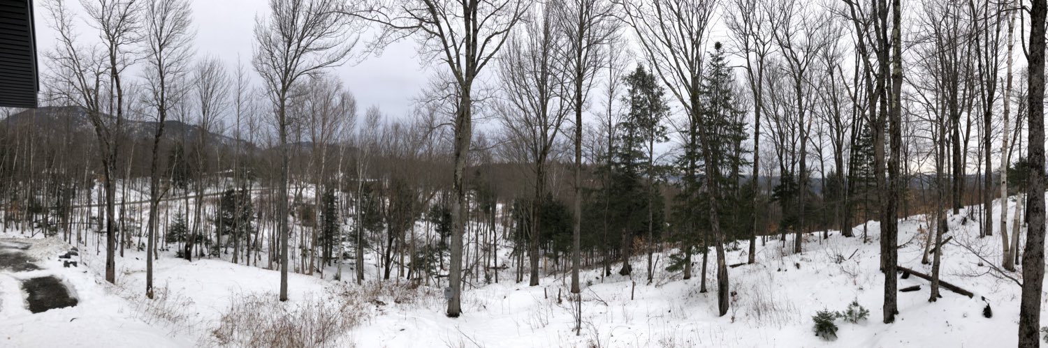 Lauraforeror's profile banner image