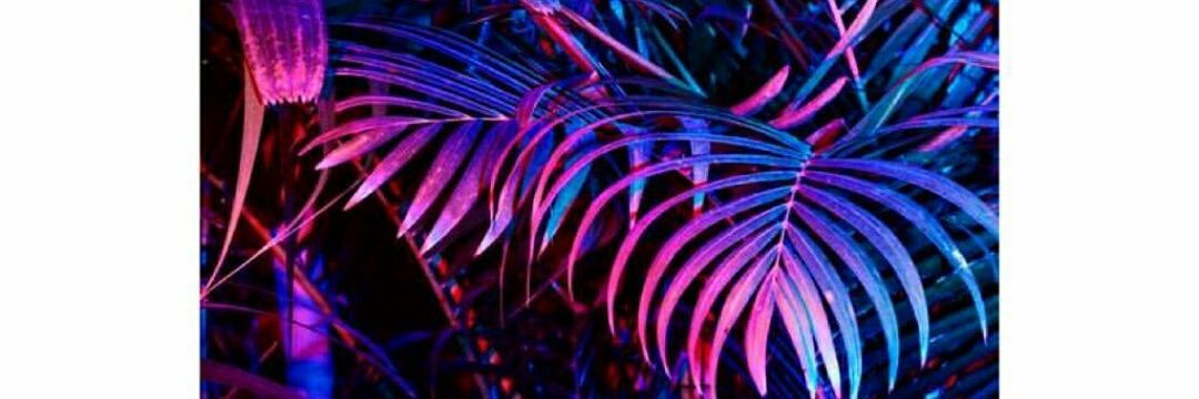 kelynmartinez3's profile banner image