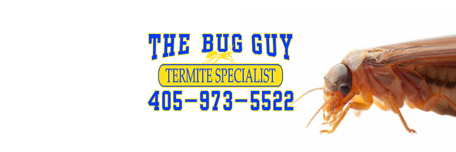 The Bug Guy (@thebugguyokc) / Posts / X