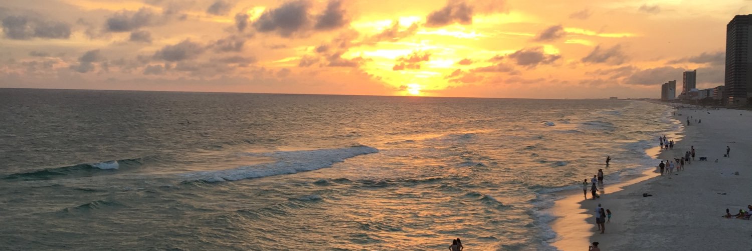 bach203's profile banner image