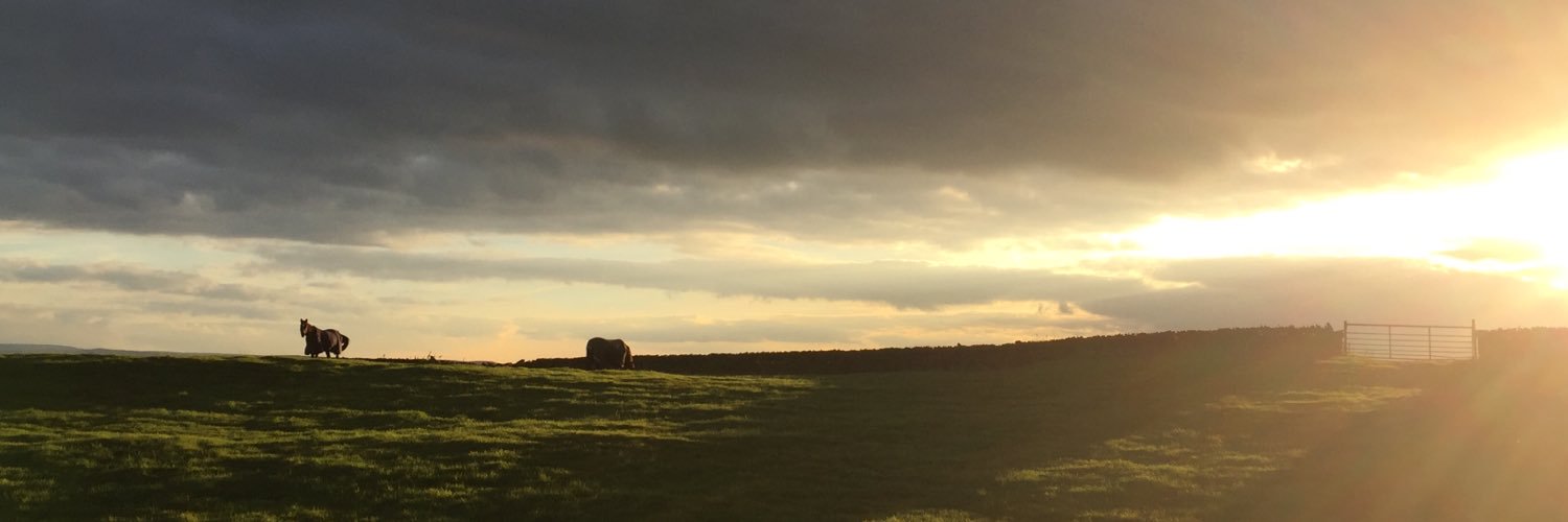 FGHollyRP's profile banner image
