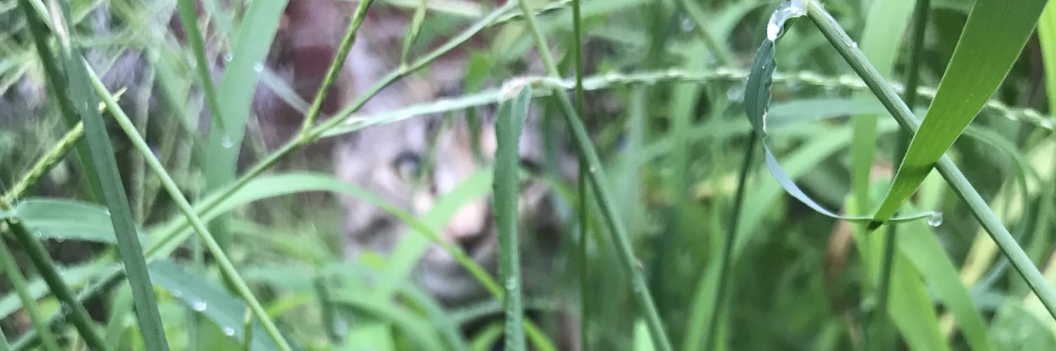 DanielSills's profile banner image