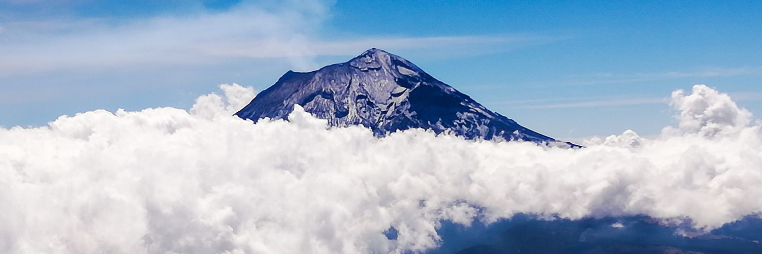 pamluja's profile banner image