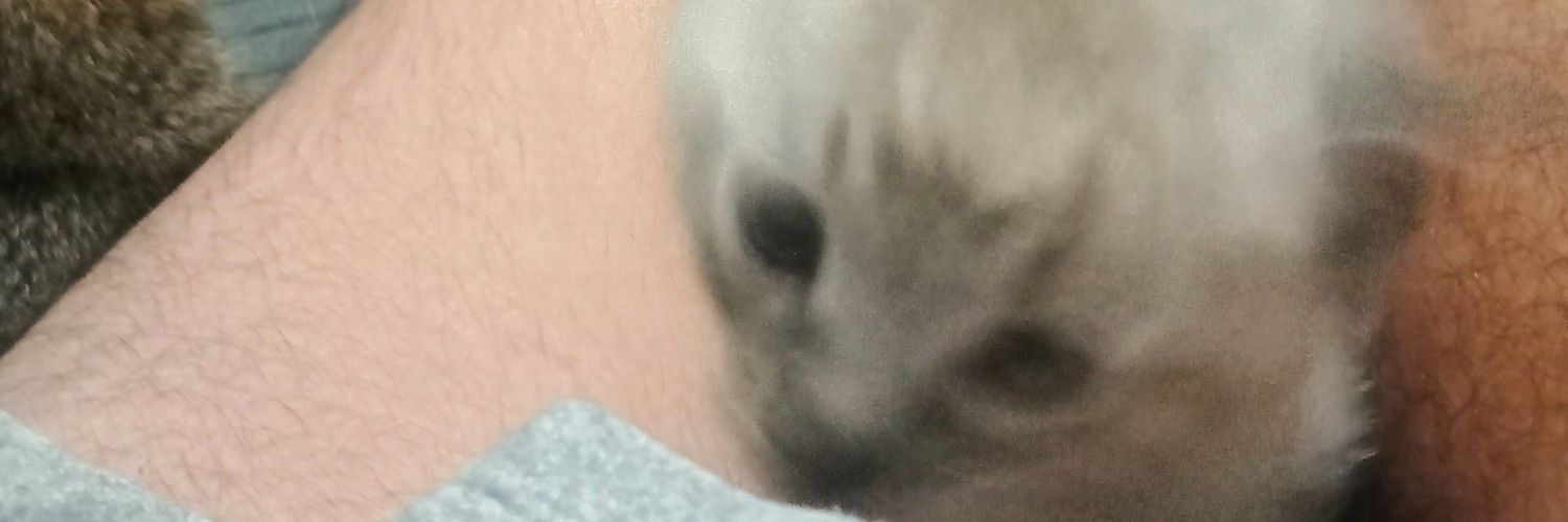 roberthjhow's profile banner image