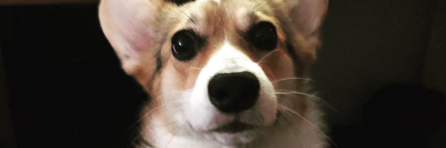 ajoekerr's profile banner image