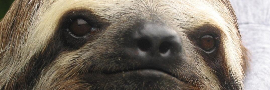 AuntSocMed's profile banner image