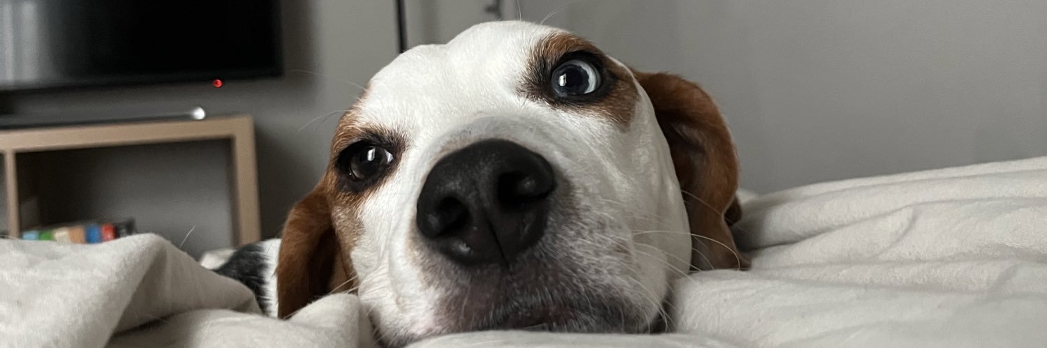 yogabbayy's profile banner image