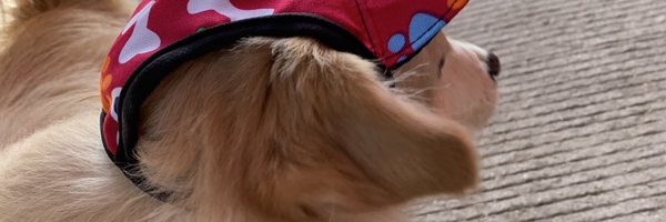 tixraxx Profile Banner