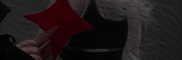 Sinnpurr Profile Banner