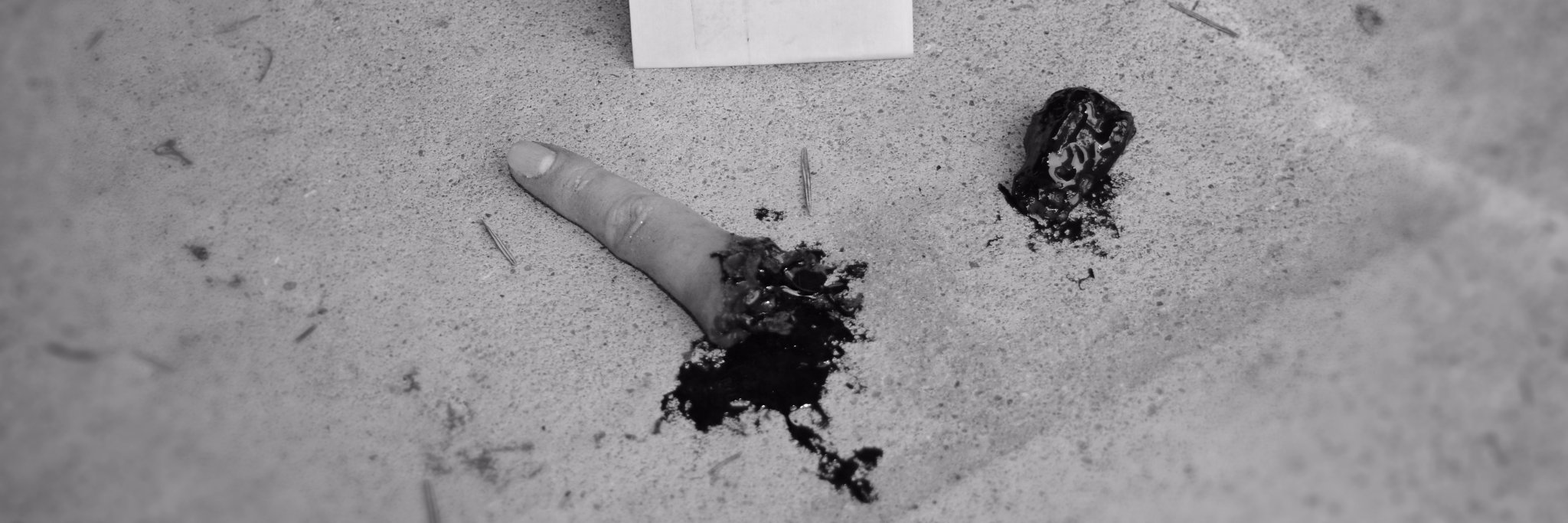 Steph Pringle banner