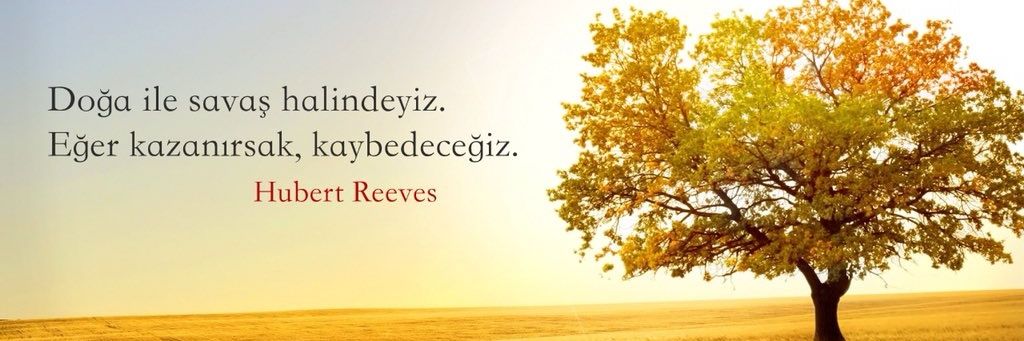 Cemchekil1's profile banner image