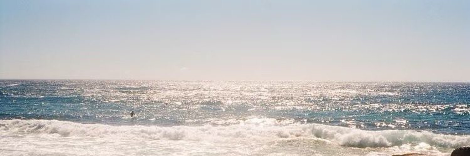 Mole1351's profile banner image