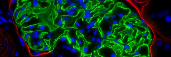 BartSmeets11 Profile Banner