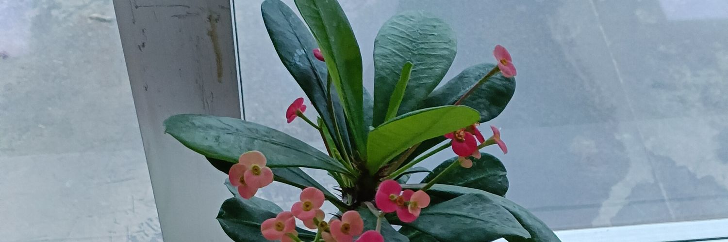 nkumar1610's profile banner image