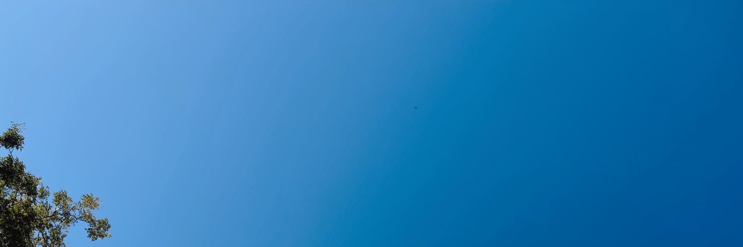 Priscilla Castro A. banner