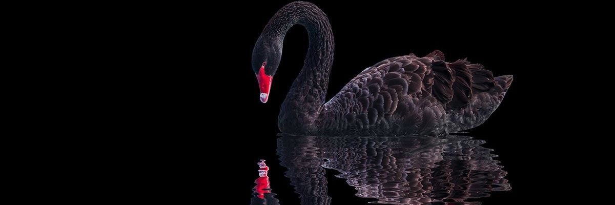 13Morph33's profile banner image