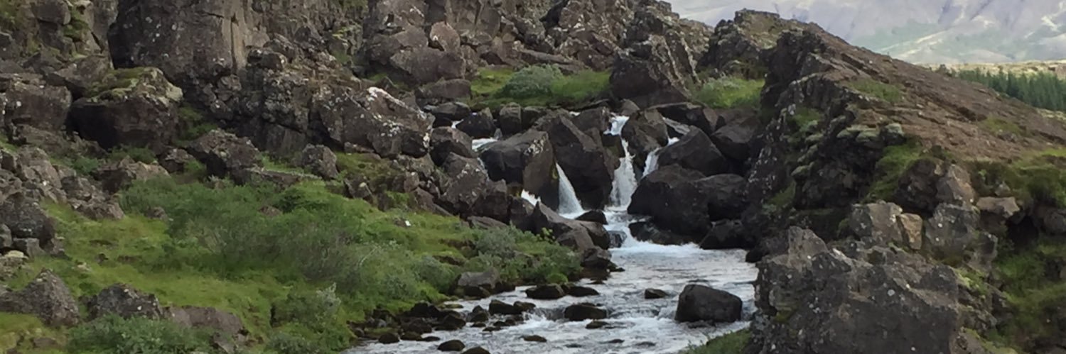 Teresa Goodin banner