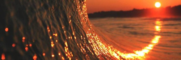 stdhass Profile Banner