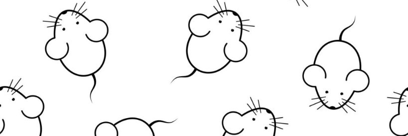 kazuwuです || banner